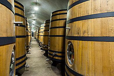 劳拉降临《黎明杀机》古墓丽影联动内容即将上线